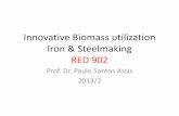 Innovative Biomass Utilization Iron & Steelmaking 02