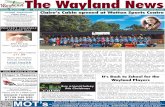 The Wayland News November 2013