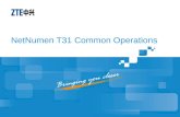 PT_OC03_E1 NetNumen T31 Common Operations 49P