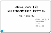 Index code for multibiometric pattern retrieval