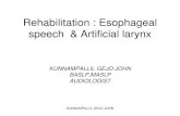 Rehabilitation Esophageal Speech & Artificial Larynx