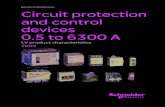 Circuit Protection and Control Devices From 0.5 to 6300A - 2009