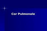 9. Cor Pulmonale