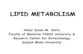 Metabolisme Lipid PPT
