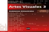 Artes Visual Es 3