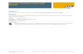 Message Handling in SAP CRM Web UI