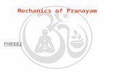 11268_Mechanics of Pranayam