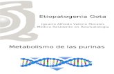 Clase Etiopatogenia Gota