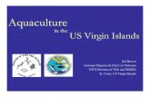 Aquaculture in the US Virgin Islands