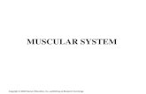 Phy Ana Lab- Muscular System - PDF