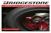 Bridgestone - Medium Light Truck Databook -2013