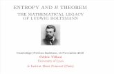 Cedric Villani - Theorem