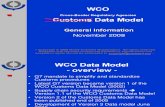 WCO_Data Model.pdf