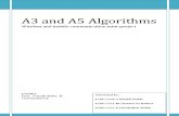 A3 and A5 Algorithms