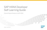 Sap Hana Step by Step How to Guides