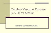 4. Cerebro Vascular Disease (CVD).ppt