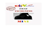 Incognito Mini eBook - eBay Suspension & Paypal Limitation Guide