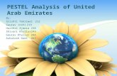 pestal analysis of_UAE
