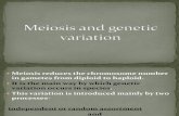 Meiosis and Genetic Variation(9)