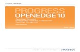 Progress Openedge 10
