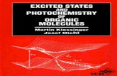 13263225 Excited States and Photochemistry of Organic Molecules Klessinger M Michl J VCH 1995