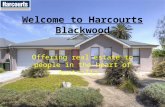 Brock Harcourts Blackwood