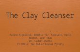 The Clay Cleanser Product Innovation