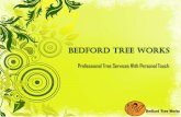 Bedford tree works