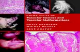 Color atlas of_vascular_tumors_and_vascular_malformations