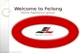 Feilong - Company Profile 2015