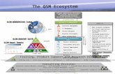QSM Ecosystem R2