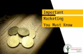 Important Marketing Strategies You Must Know