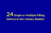 24 single or multiple filling defects in the