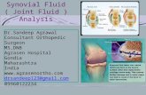 Clinical applications of Synovial (joint ) fluid analysis  Dr.Sandeep C Agrawal Agrasen Hospital Gondia India