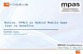 Native, HTML5 or Hybrid Mobile Apps - Cost vs benefits