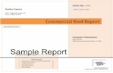 Roofmodel.com- Complex Commercial Sample PDF