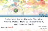 "Embedded Lucas-Kanade Tracking: How it Works, How to Implement It, and How to Use It," a Presentation from PercepTonic