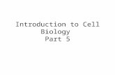 11 introduction to cell biology 5