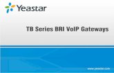 Yeastar TB BRI VoIP Gateways—Refresh and Restart
