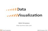 Data Visualization Summary iHub
