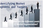 What are the different levels of market segmentation