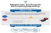 Hypoxic Ischemic Encephalopathy (HIE) & Cerebral Palsy (CP)