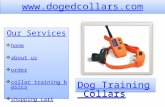 Best dog shock training collar