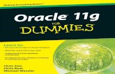 Oracle 11g for dummies %28 isbn   0470277653%29
