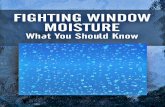 Fighting window moisture what you should know