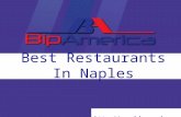 Naples Free Business Listings
