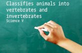 2nd qtr 6 classifies animals into vertebrates and invertebrates