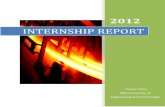 Amreli Steel-Internship Report-Yaseen Raza