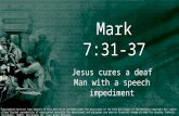 24th Sunday - Gospel - Mark 8:27–35 - You are the Christ