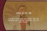 20th Sunday - Gospel John 6:51–58 -